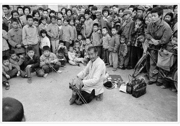 走南闯北，生肖之谜与人生哲理的深度解析