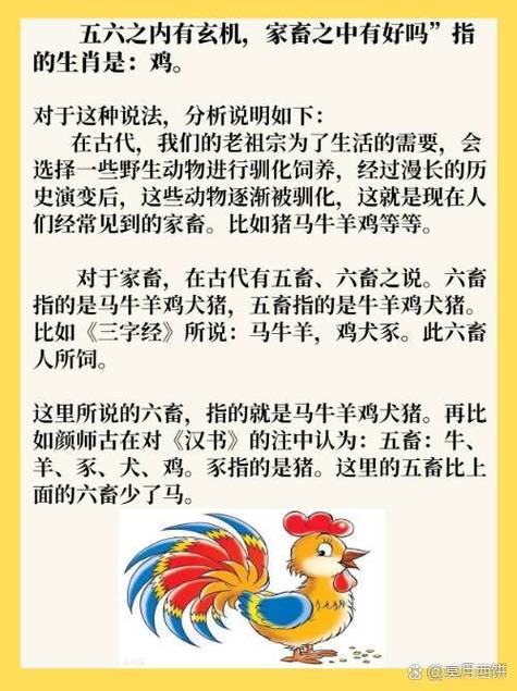 泥牛入海，生肖之谜的深度解析与精准解答