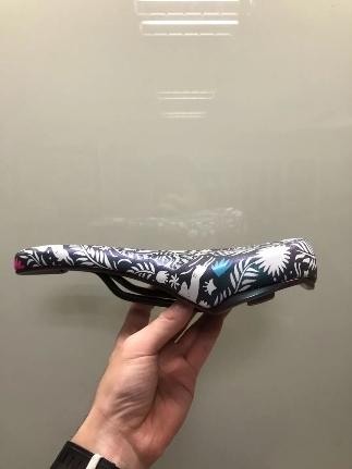 鸟语花香中的生肖奥秘，揭秘非凡解释的精准对应