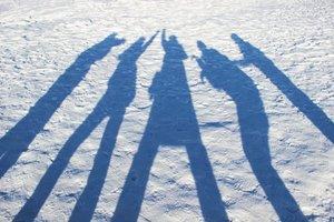 走南闯北，生肖之谜与人生哲理的深度解析