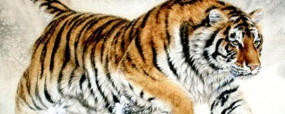 揭秘明察秋毫背后的生肖奥秘,词语解析与生肖文化深度解读 揭秘明察秋毫背后的生肖奥秘,词语解析与生肖文化深度解读