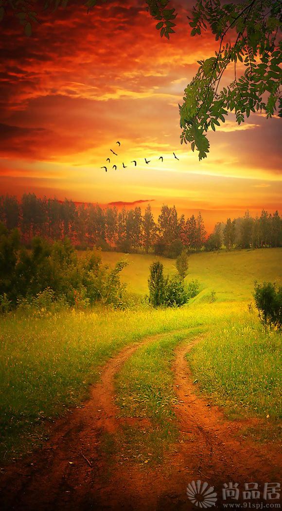 美景佳人夕阳红，生肖之谜的浪漫解读