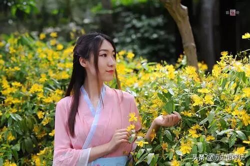 黄花女儿打一准确生肖:马上为你揭晓落实