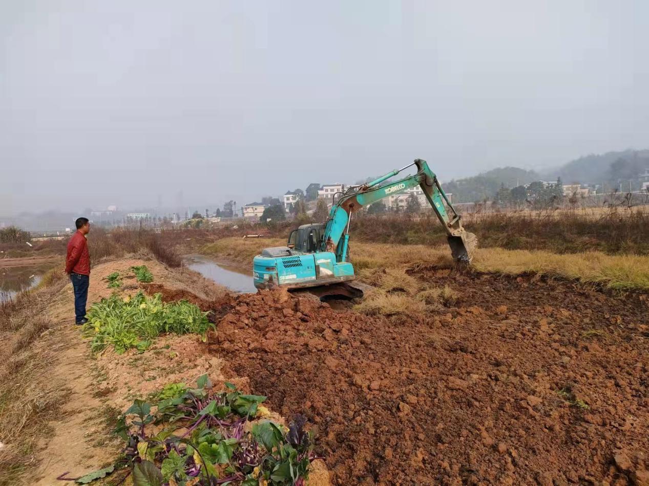 劈天盖地打一动物、专业解释落实