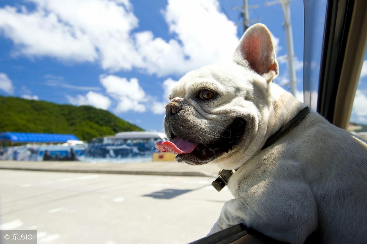 八难三灾是什么生肖:最快解答落实