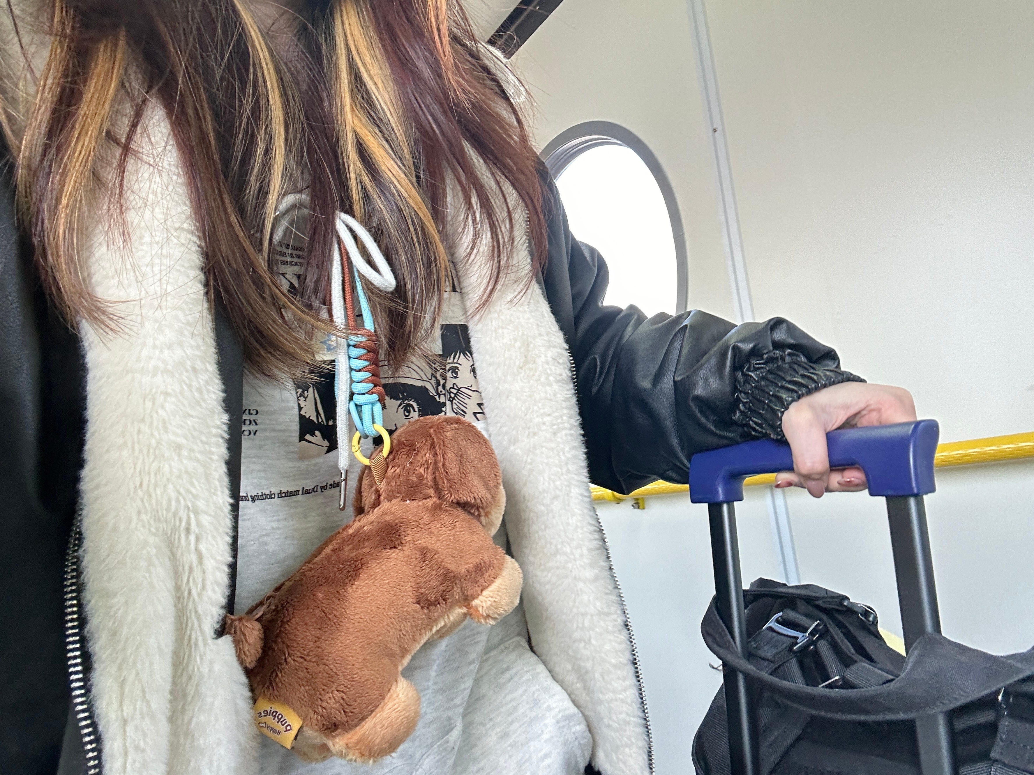 拖家带女，生肖之谜的全面解析