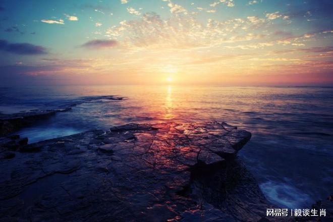 光芒万丈是什么生肖:第一解答落实