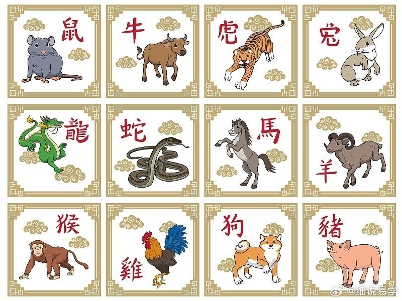 身强力壮的生肖之谜,揭秘牛的愉快解释与落实 身强力壮的生肖之谜,揭秘牛的愉快解释与落实