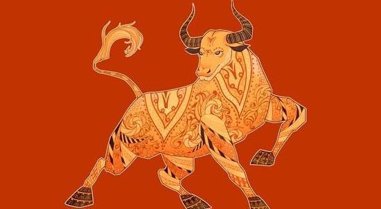 探秘生肖之谜，大街小巷中的生肖奥秘与形形色色的文化解释