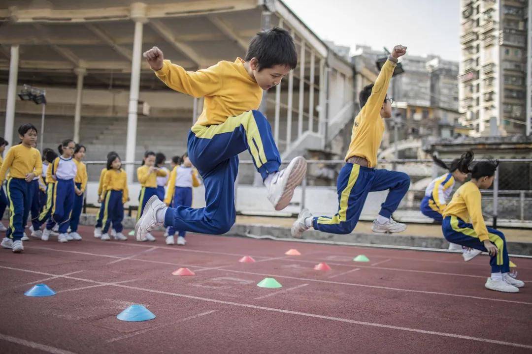 大义灭亲与生肖智慧,学习解释与落实的深刻启示 大义灭亲与生肖智慧,学习解释与落实的深刻启示