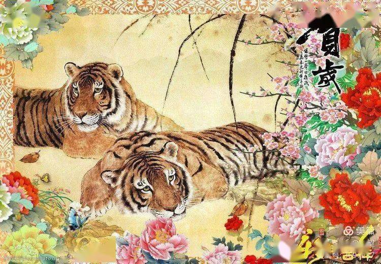 揭秘为虎作伥背后的生肖寓意与现实关注