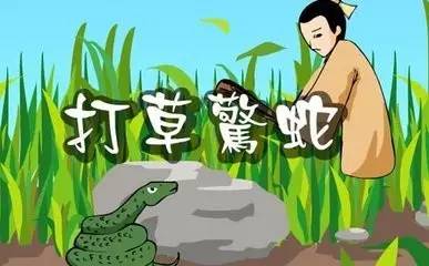 打草惊蛇是什么生肖、理想解释落实