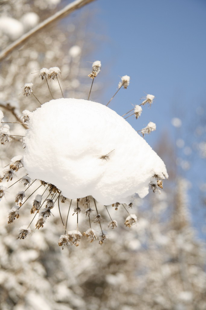 毛头毛脑,探寻那神秘而有趣的动物世界 毛头毛脑,探寻那神秘而有趣的动物世界