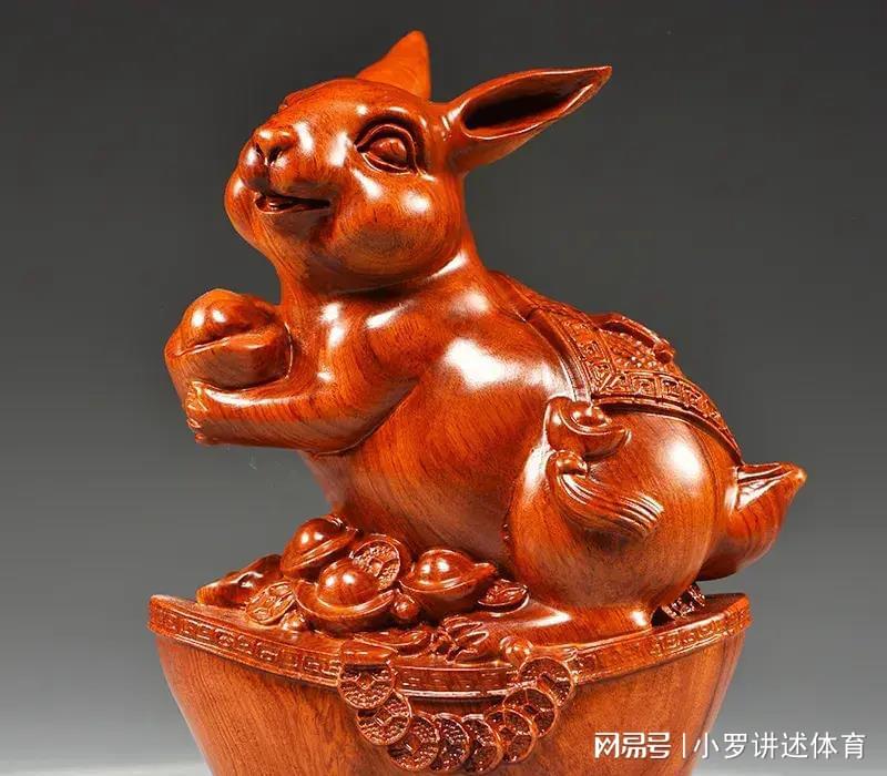 乐在其中指什么生肖、成就解释落实