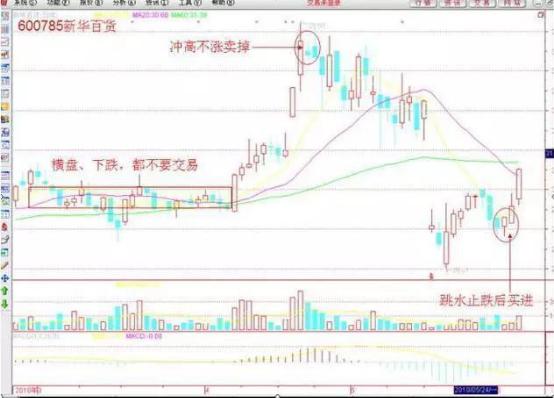 盲人瞎马，揭秘生肖之谜