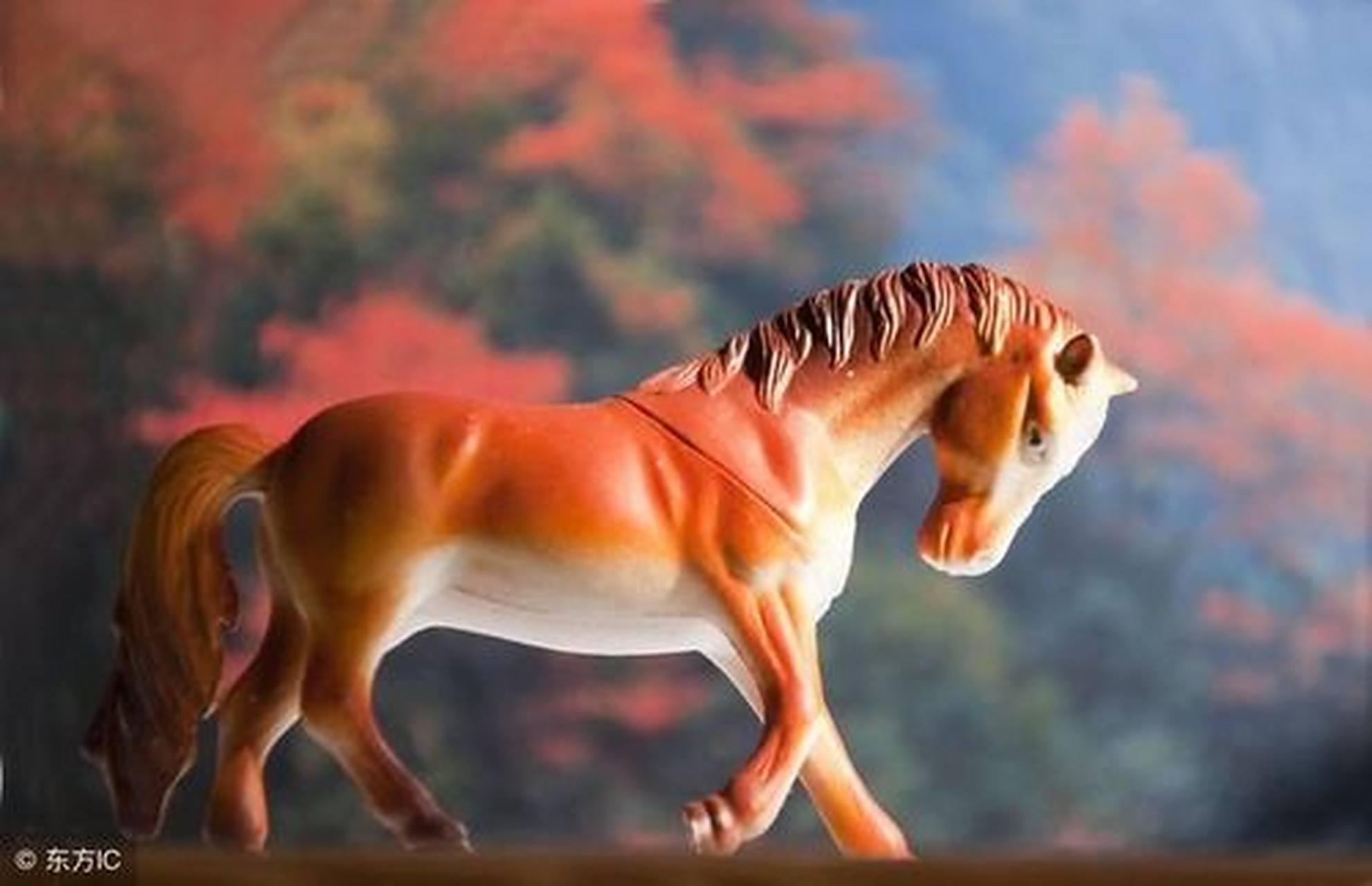 状元武士与带红花的生肖之谜，揭秘属相的智慧与勇气