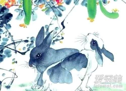 凹凸不平的生肖，生肖兔的独特性格解析