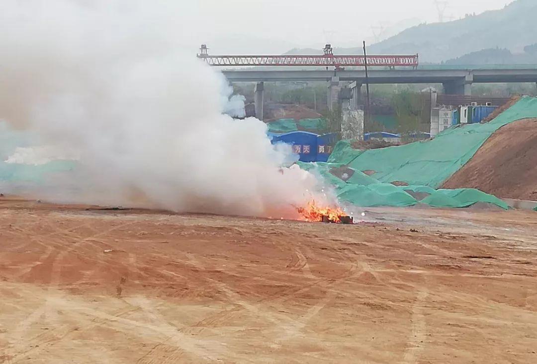 不能杀敌打前锋、打一生肖:答案解释落实