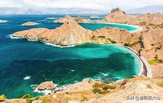 变化无常的生肖，龙