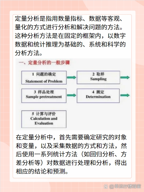 拓落不羁的生肖之谜，定量解释与落实的智慧