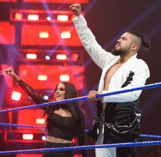 一尘不染的生肖谜题，解密最佳组合与落实的智慧