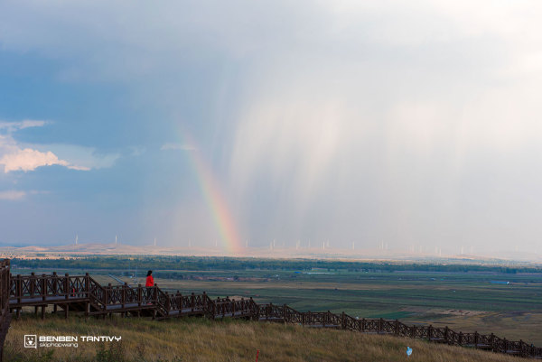 九曲十八转二五之间，揭秘生肖之谜