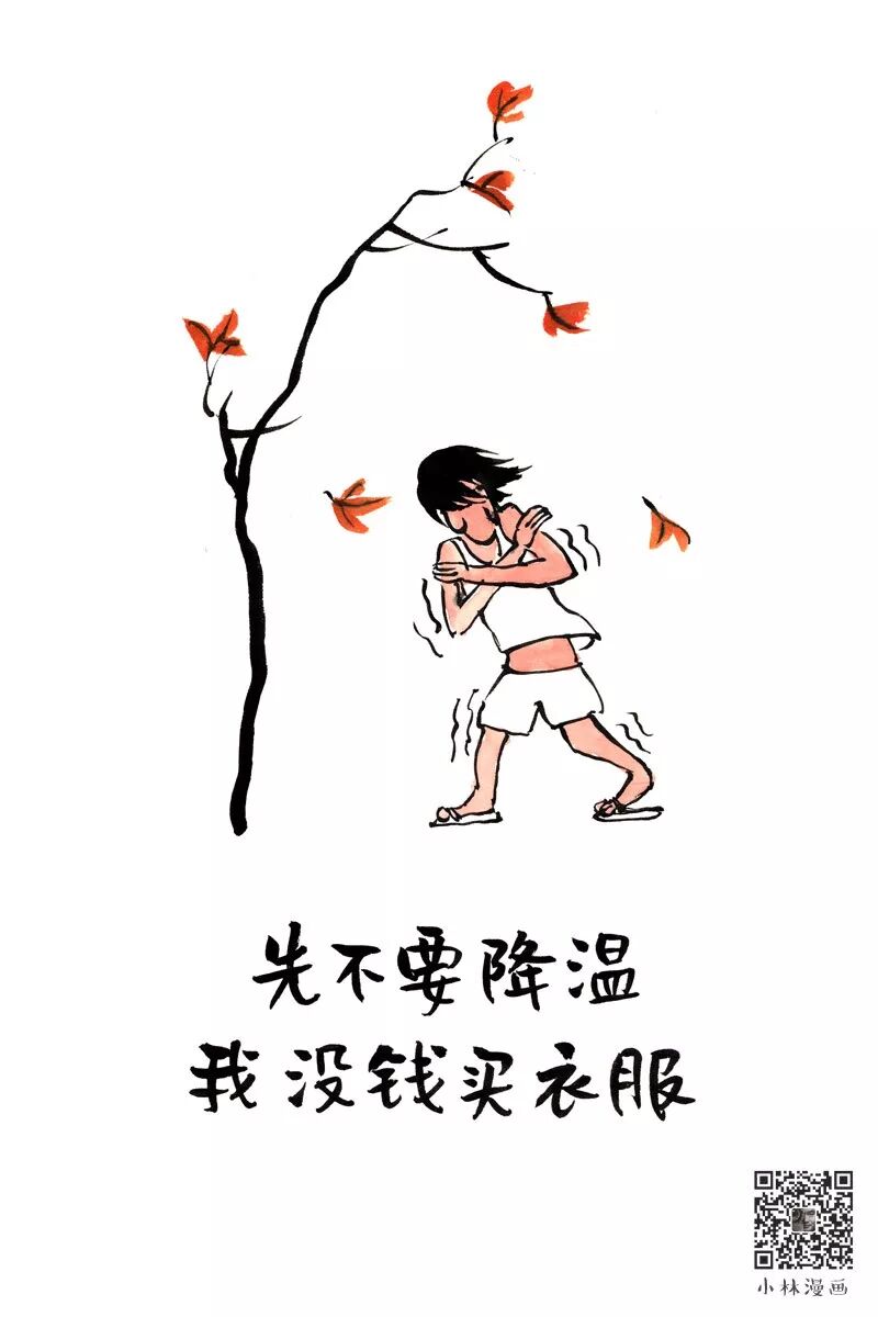 有钱无米能过冬，生肖之谜与友爱精神的深刻解读