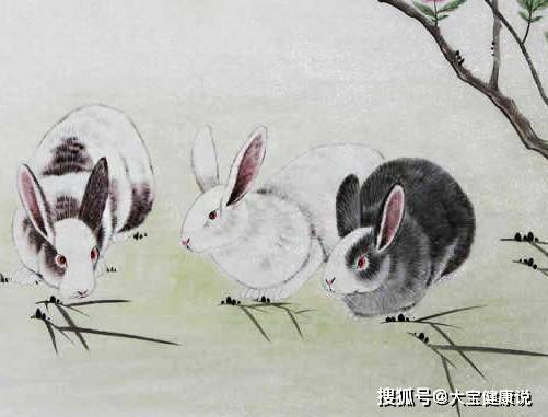 炙手可热的生肖，词语解析、解答与落实