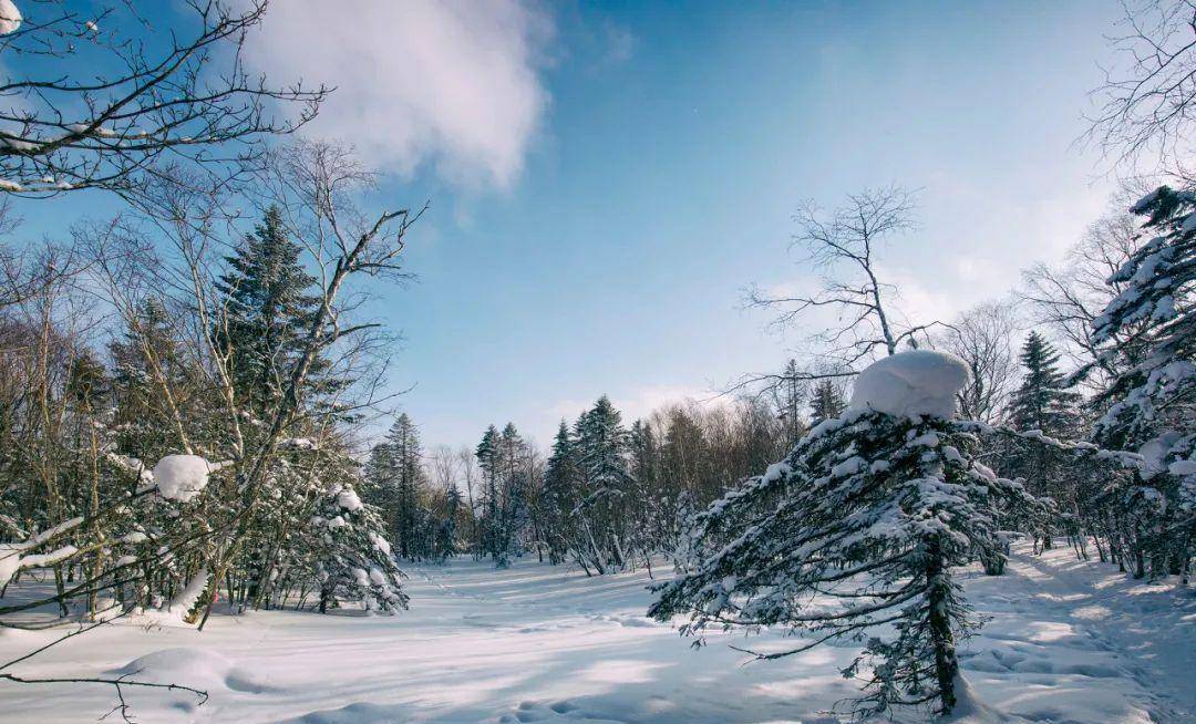 寒气刺骨，冬日里的极致体验与最新解读