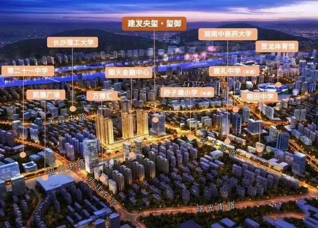 扶摇直上，生肖之谜，前沿解释与落实的智慧