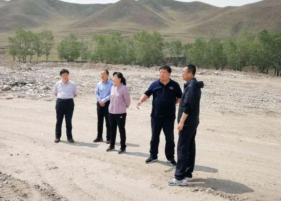 龙行风雨西方来打一个生肖、乐观解释落实