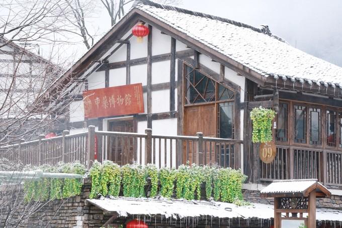 走南闯北，生肖之谜与人生哲理的深度解析