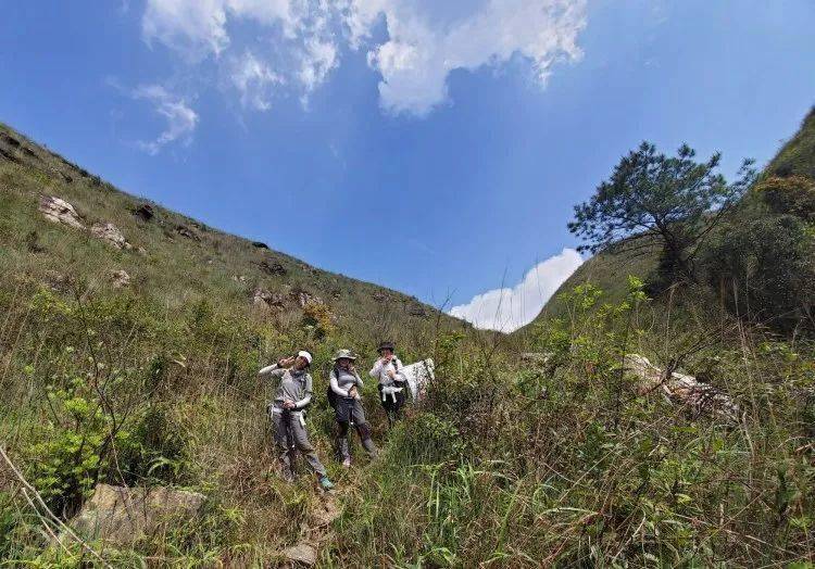 探秘一条路千山万水与生肖之谜，最佳作答的深度解析