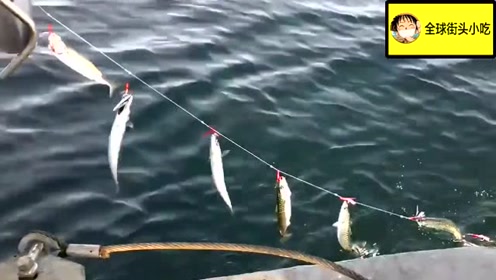 绵里藏针是什么生肖:全面揭晓解释落实