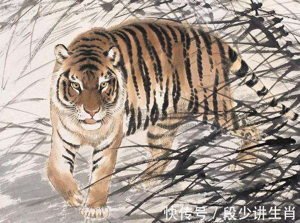 胆大包天打一生肖、通用解释落实