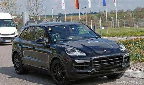 沸反盈天，揭秘生肖背后的文化与智慧