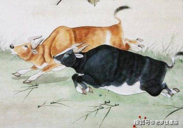 一蹴而就是什么生肖、团结作答落实解释