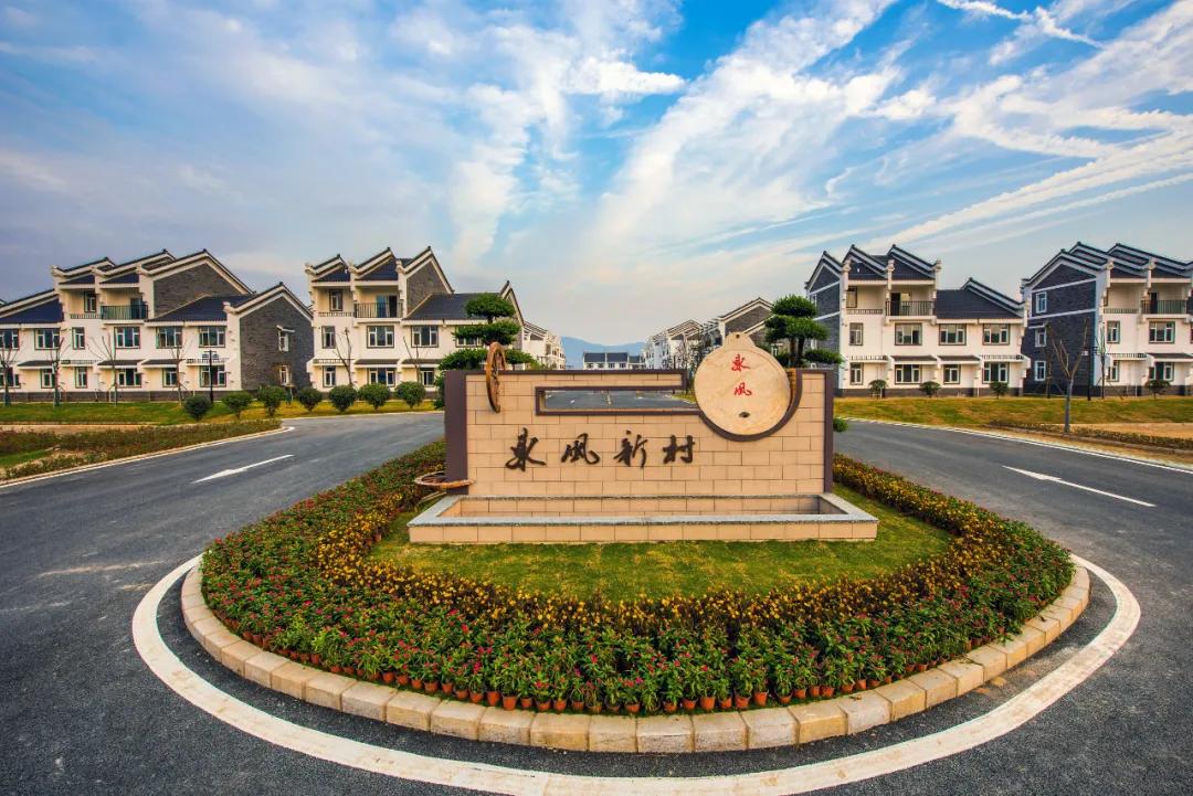 歇斯底里打一准确生肖、成就解释落实