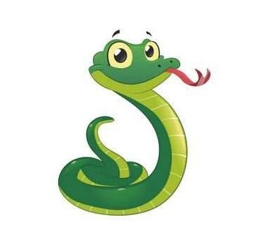 祸不单行，生肖背后的文化解读与现实启示