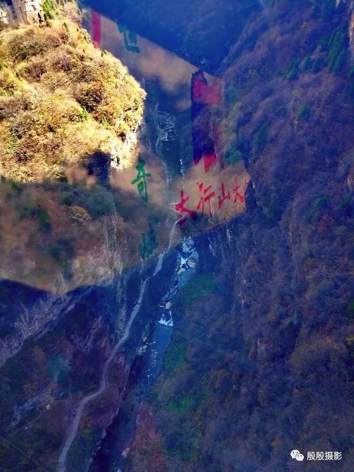 落落大方是什么生肖?经典解释作答落实