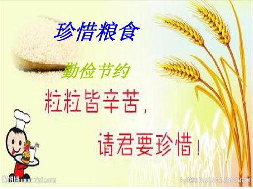 勤俭特家，精准落实—揭秘牛生肖的智慧与精神