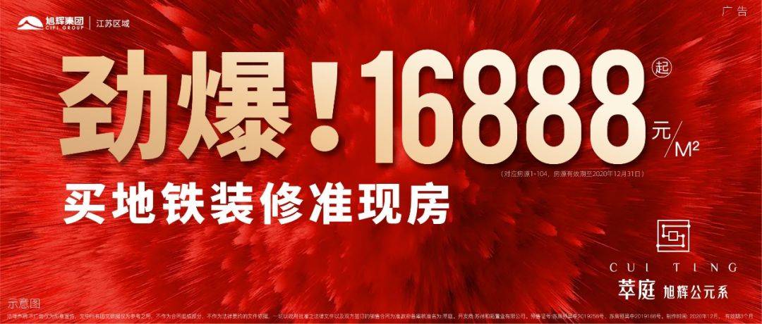 揭秘同心同德背后的生肖奥秘，马，引领团结与共进的象征