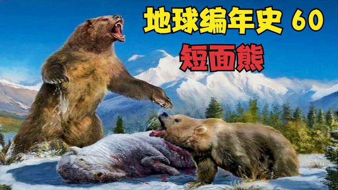 叛敌投国祸社程，代表的动物及其实证与解释