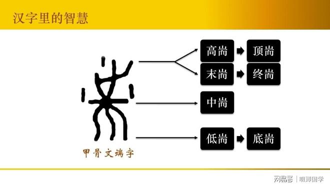 根深蒂固是什么生肖、科学作答落实解释