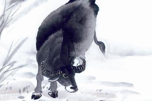 力挽狂澜打一个生肖、谁来落实解答