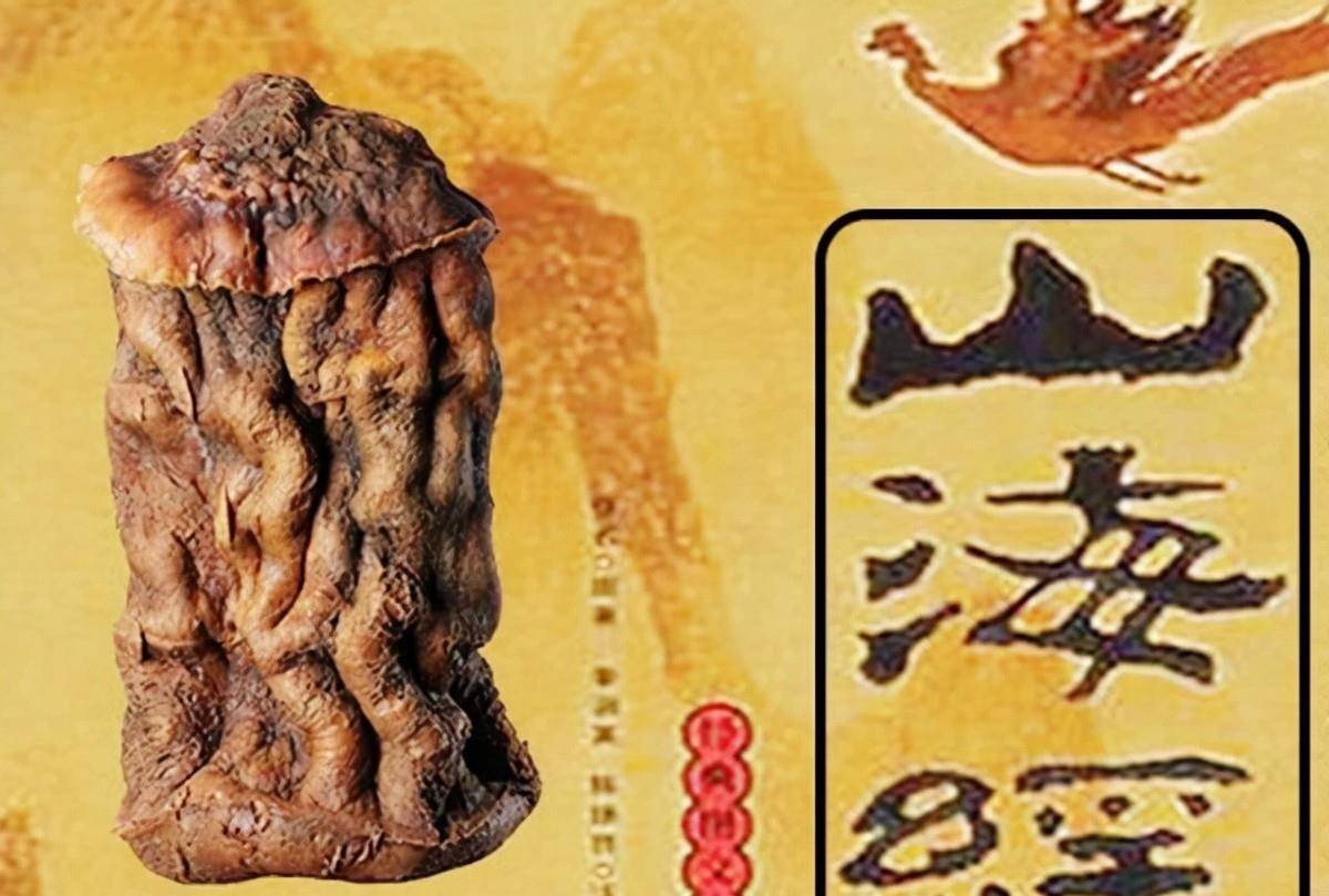 肉山脯林开过什么生肖,预测、解释与落实 肉山脯林开过什么生肖,预测、解释与落实