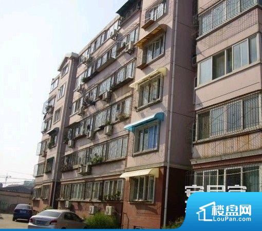 小康人家，探寻答案背后的生肖智慧