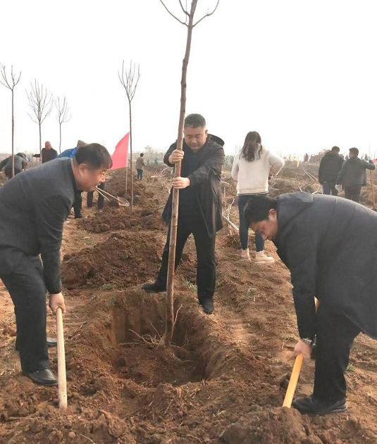 屹然挺立打一生肖，探寻生肖背后的文化与智慧