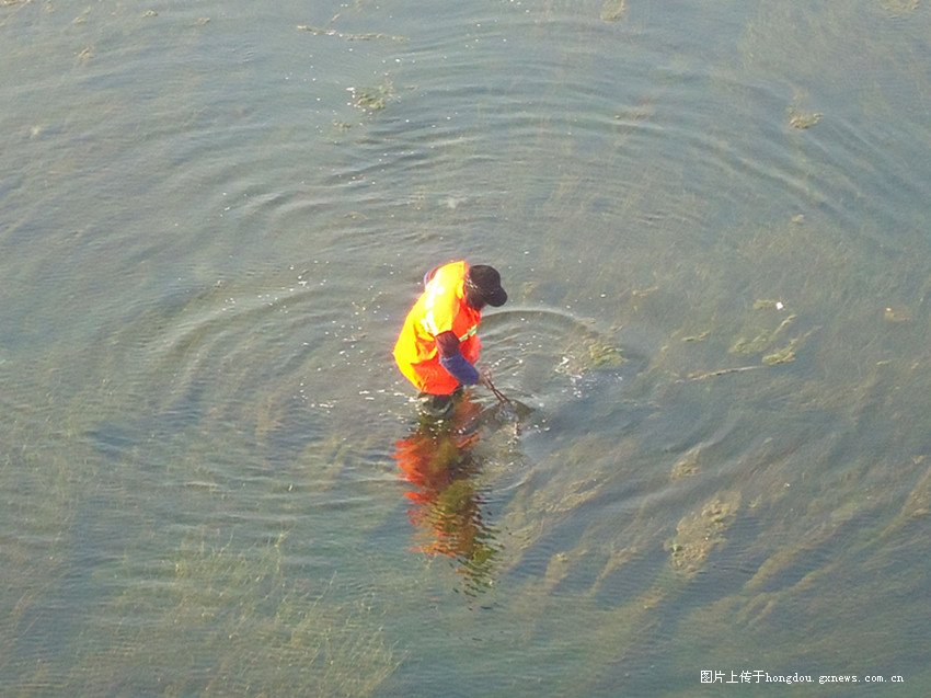寒气刺骨，揭秘与生肖的神秘联系