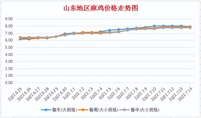 今日山东毛鸡价格，全面解析与市场动态